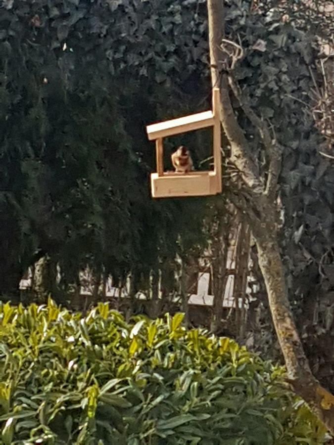 Apartmán Zsigmond Vendeghaz Villány Exteriér fotografie